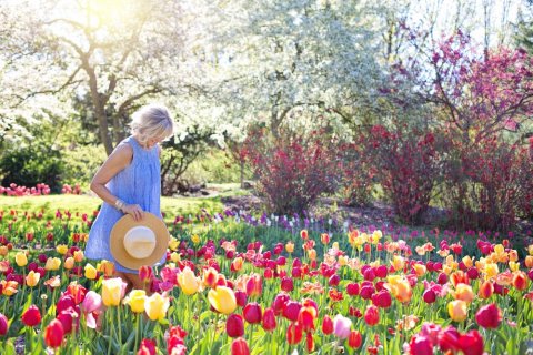 Femme dans un champ de tulipe