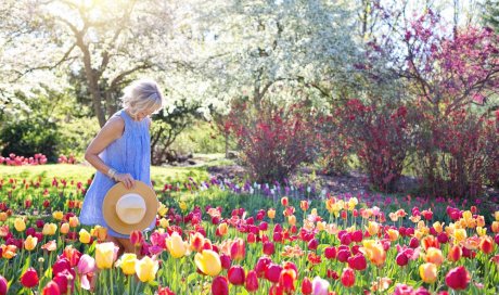 Femme dans un champ de tulipe